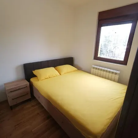 202 זלאטיבור