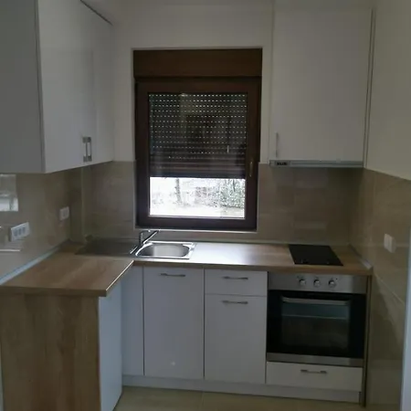 202 זלאטיבור